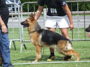 Faustie du Val de Bern