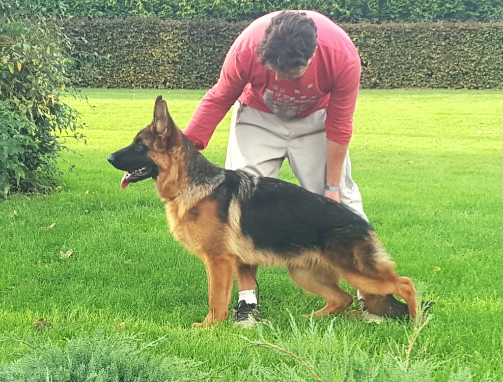 Vic du Mistral Allemand